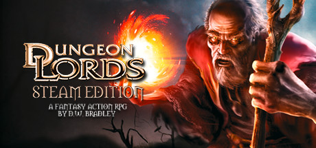 Dungeon Lords Steam Edition header image