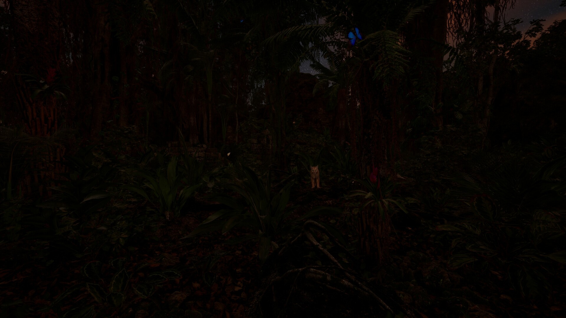 WAIDH screenshot 1