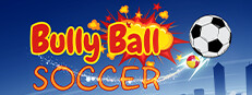 Bully Ball Soccer