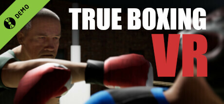 True Boxing VR Demo