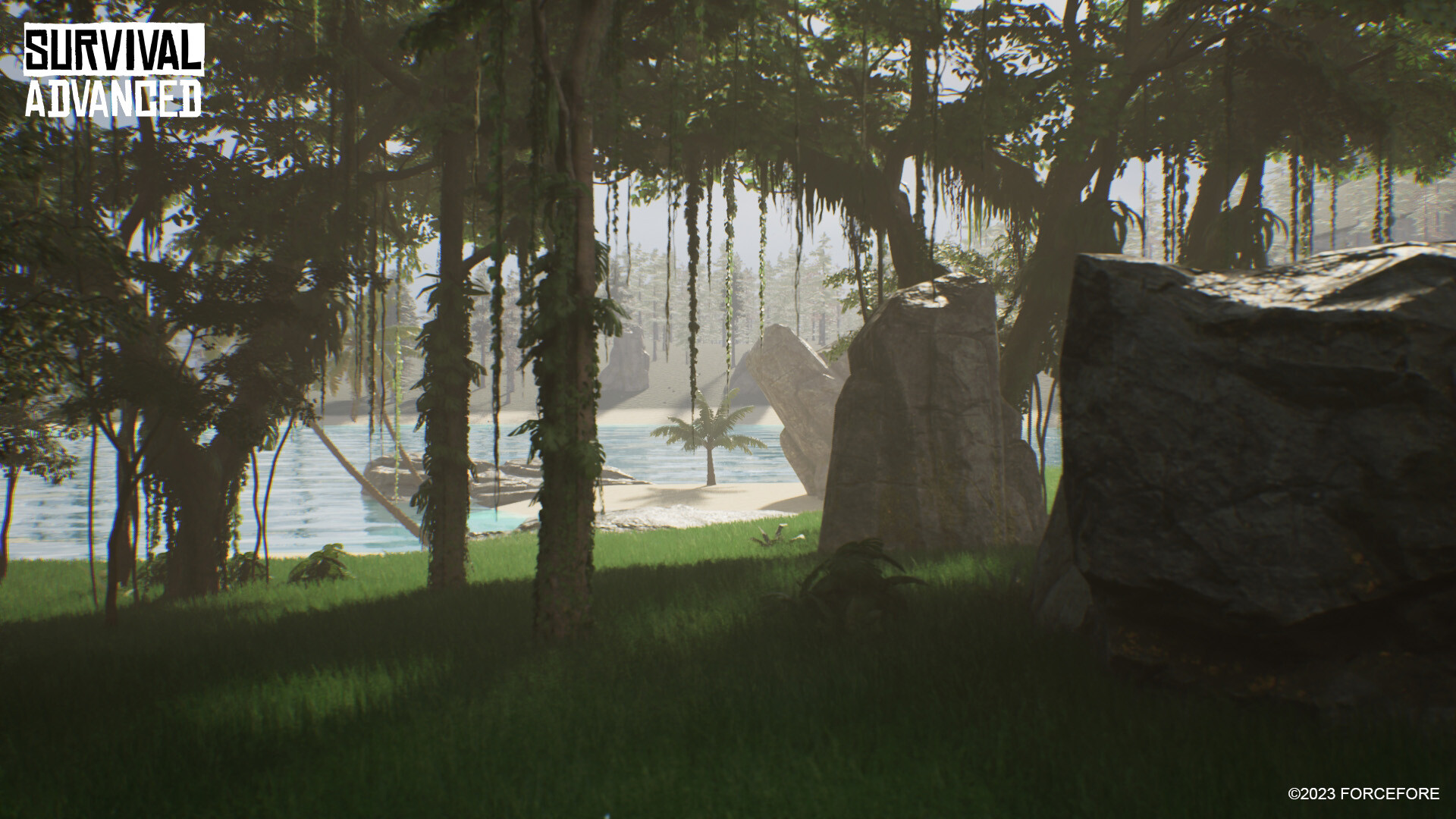 Survival Advanced #4