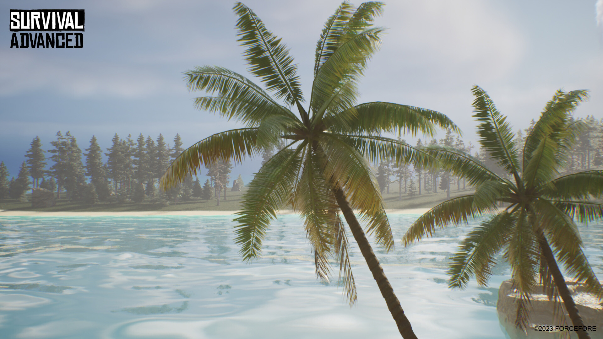 Survival Advanced #3