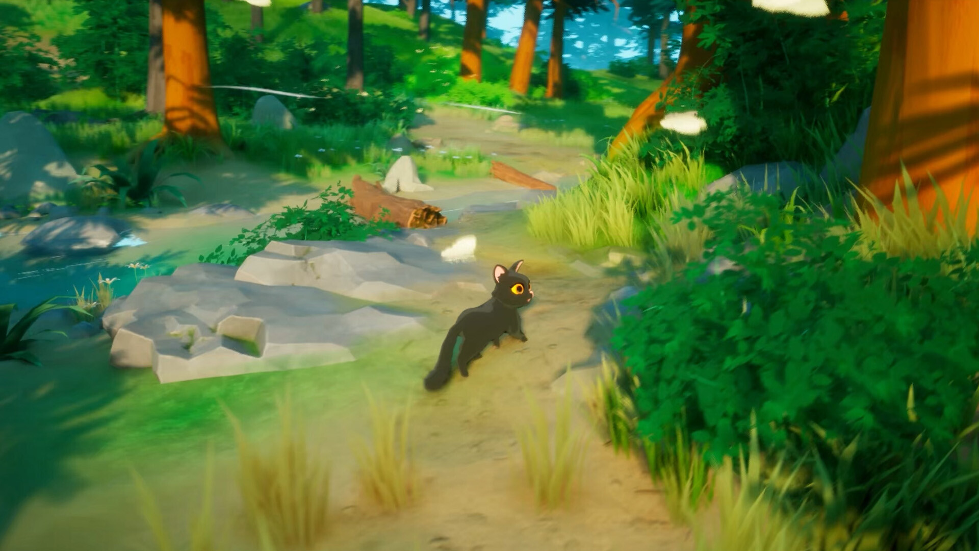Paws Trail screenshot 1