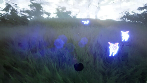 Paws Trailfor windows and Linux 1