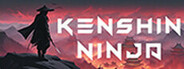 Kenshin Ninja Playtest