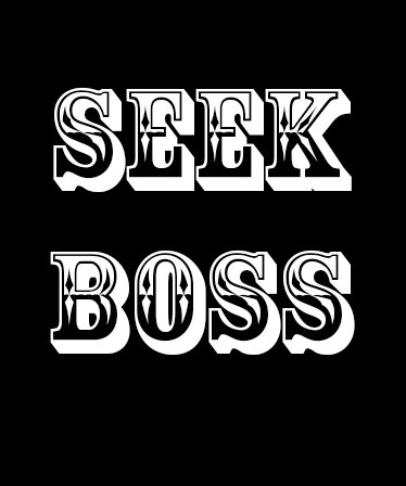 SEEKBOSS