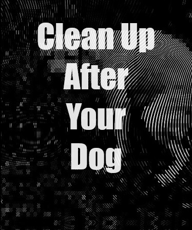 Clean Up After Your Dog