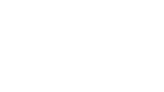 Ronin