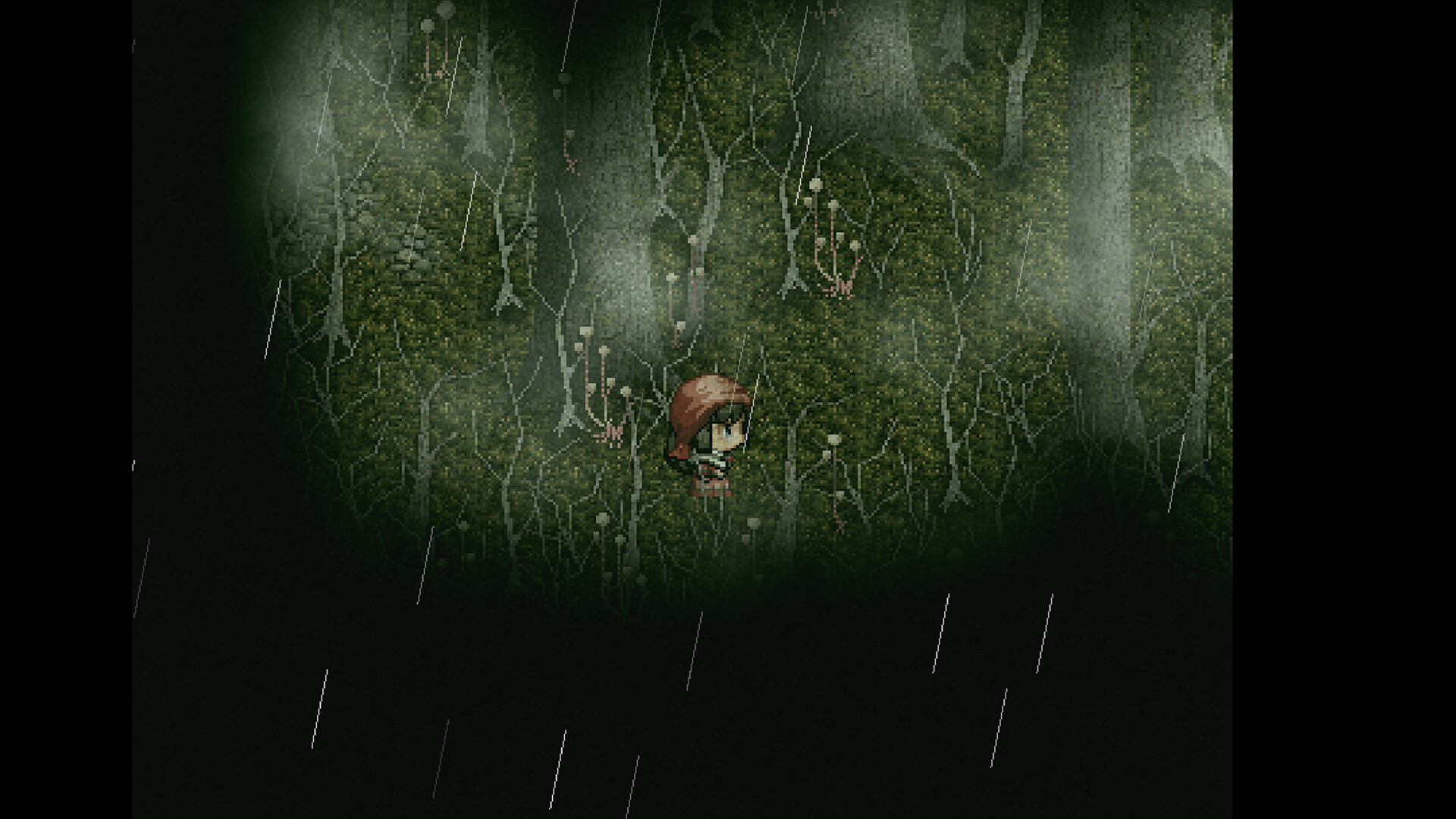 Mucorales screenshot screenshot 3