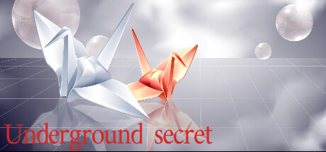 Underground secret Cover Image