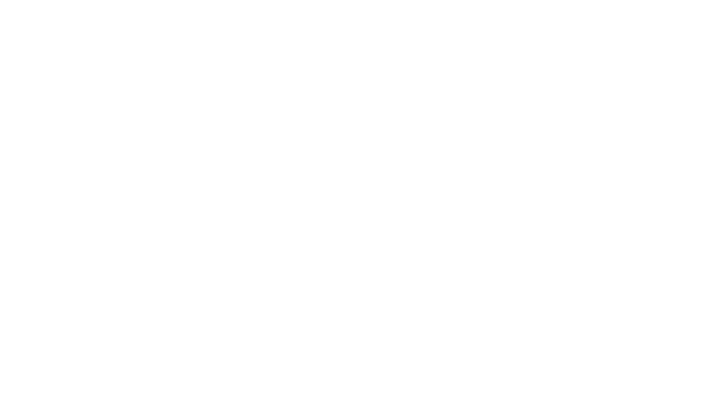 The Settlers: New Allies