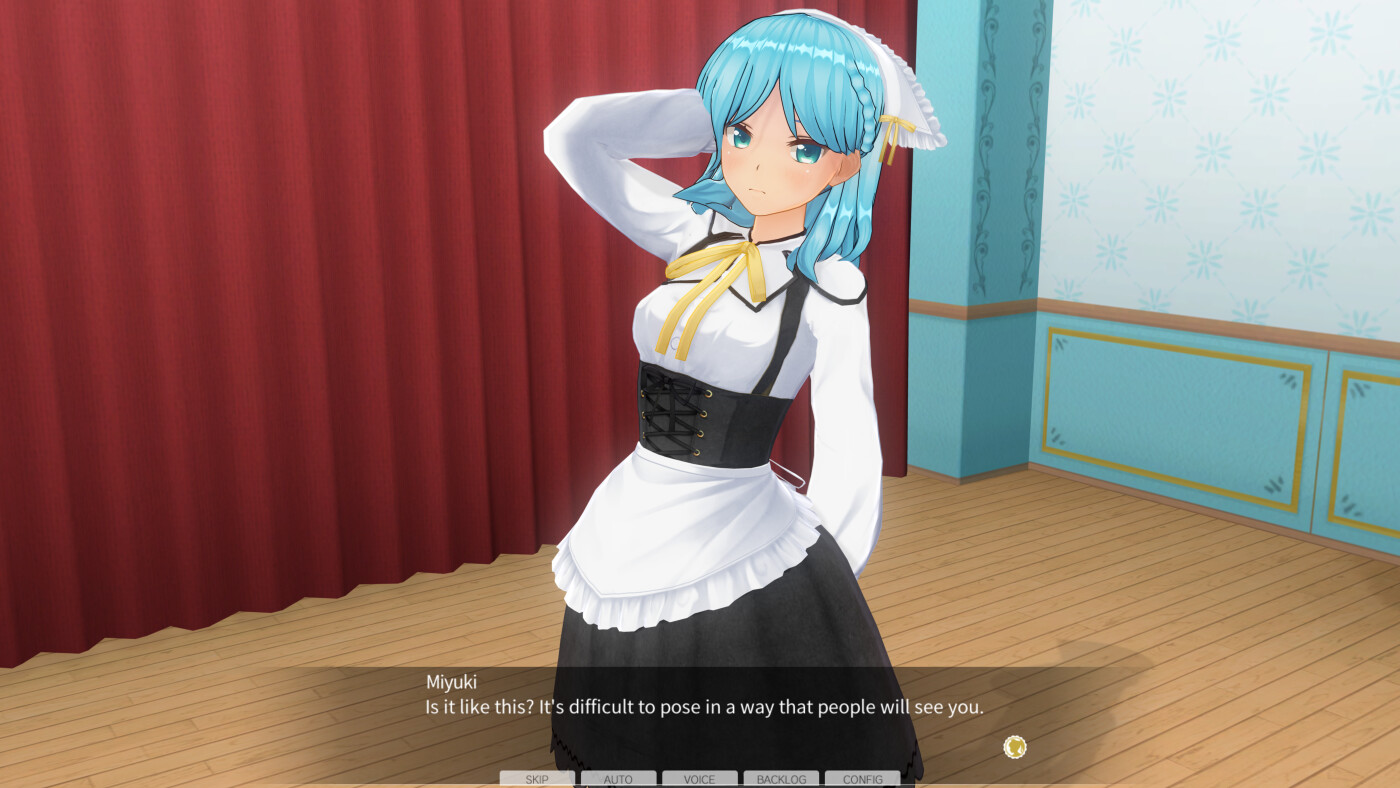 CUSTOM ORDER MAID 3D2 Character EX Pack Cunning #9