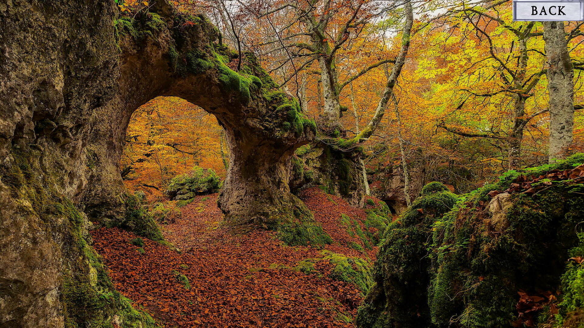 Wicked Times Demo #6