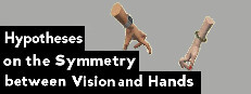 Hypotheses on the Symmetry between Vision and Hands