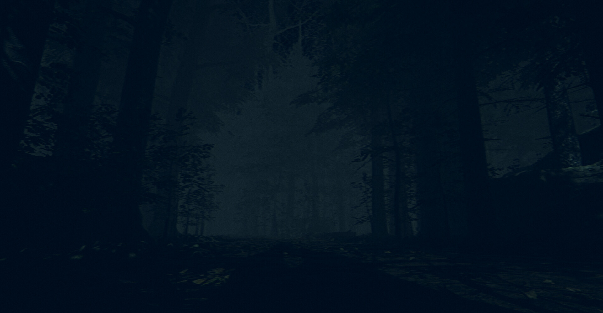 The Children of The Woods - Lost Tape #4