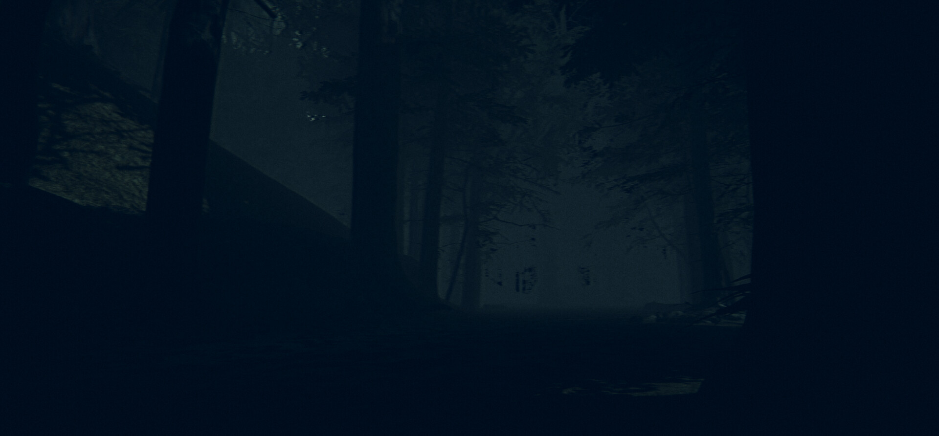 The Children of The Woods - Lost Tape #6