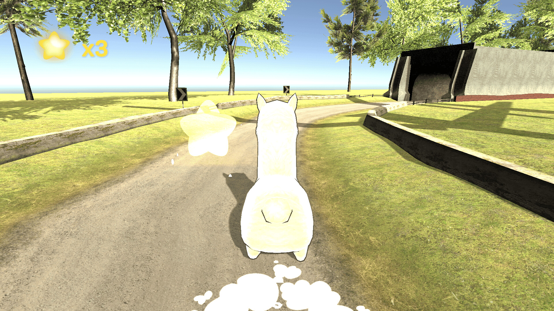 Animal Race Party #9