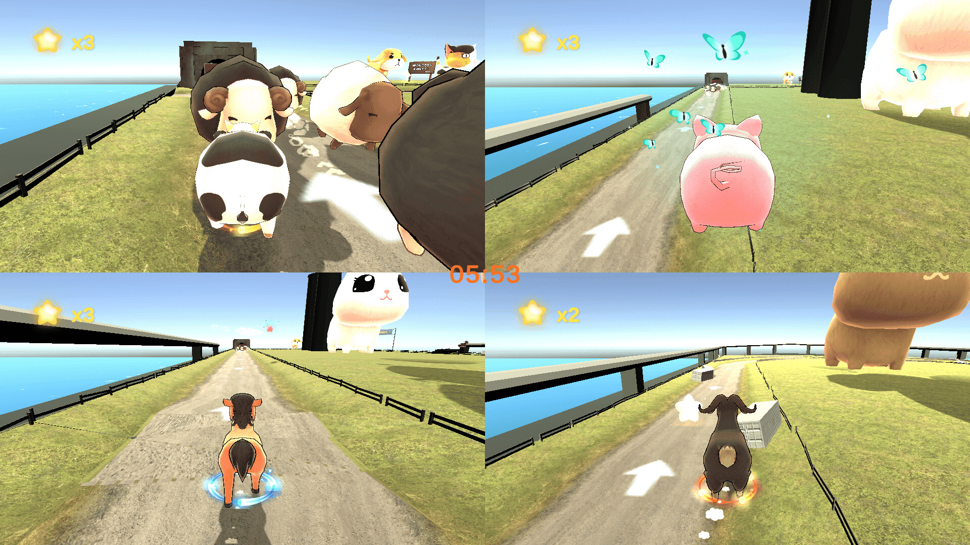 Animal Race Party #11