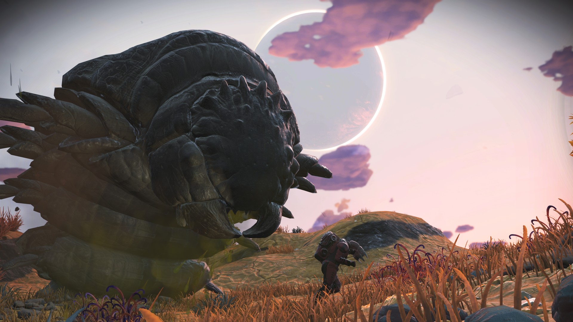 No Man's Sky screenshot 24