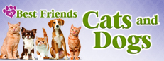 My Best Friends - Cats & Dogs