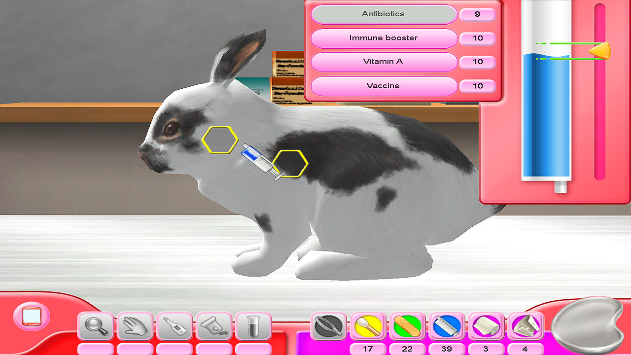 Paws and Claws Pet Vet 2 Healing Hands DS Game