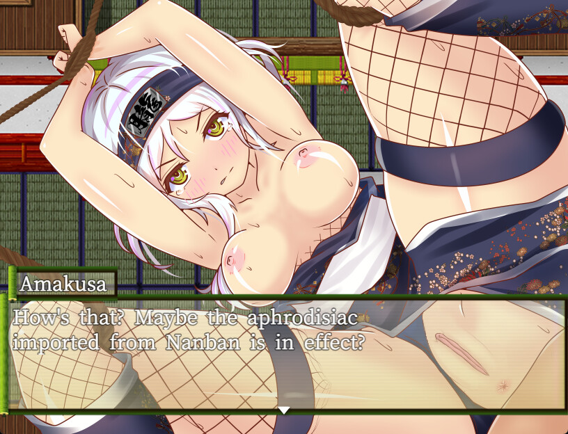 Ninja Infiltration screenshot screenshot 4