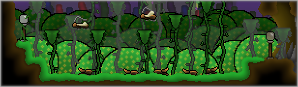 steam_descricao_floresta.png?t=1707427516