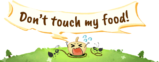 may_en-11.png?t=1713223575