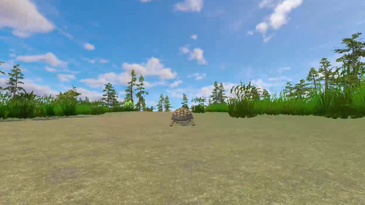 Rabbit and Turtle on Steam