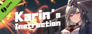 Karin's Instruction Demo