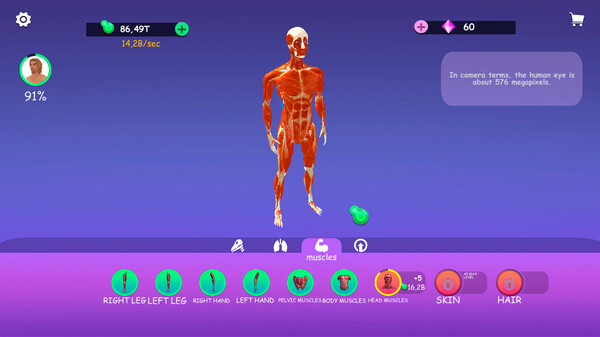 Скриншот из IDLE AnimalAnatomy