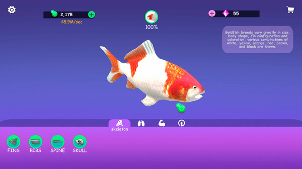 Скриншот из IDLE AnimalAnatomy