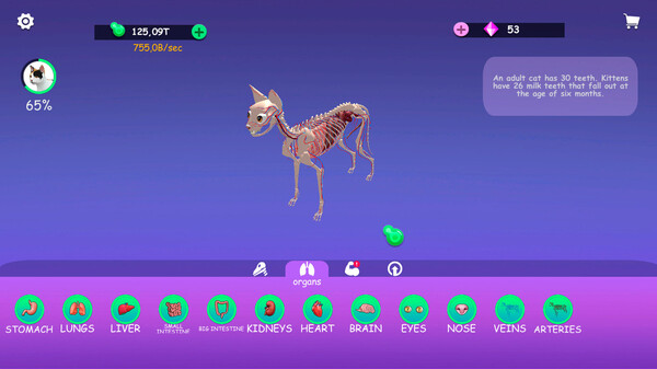 Скриншот из IDLE AnimalAnatomy