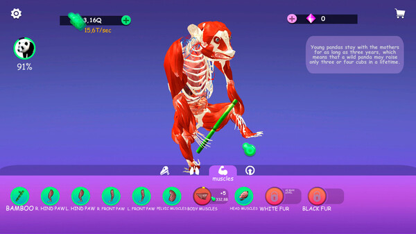 Скриншот из IDLE AnimalAnatomy