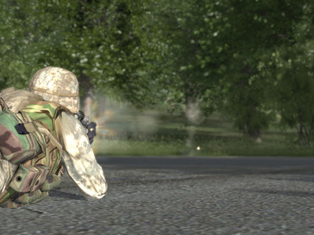 скриншот ARMA: Combat Operations 5