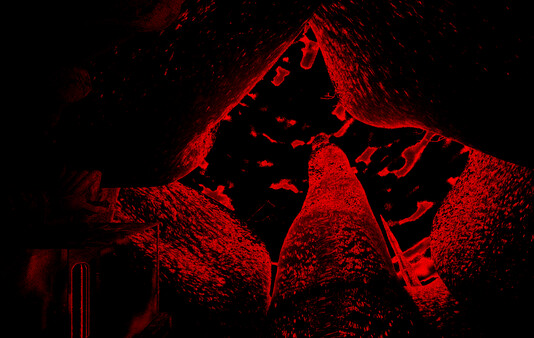 MR 333 II: Planetbirth game for Linux 1