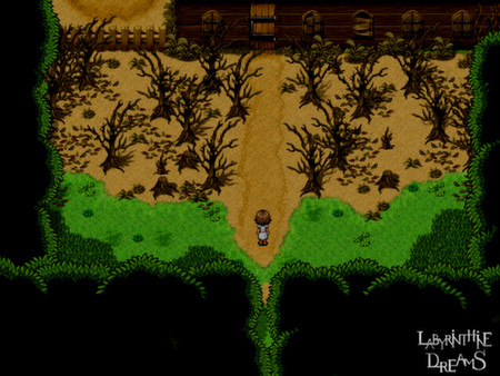Labyrinthine Dreams screenshot