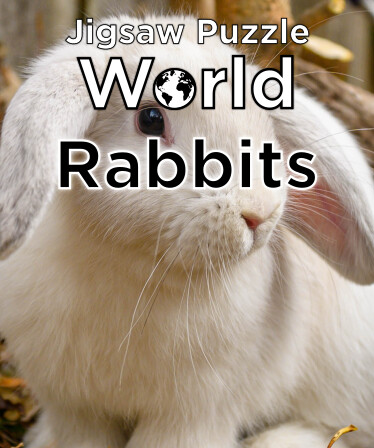 Jigsaw Puzzle World - Rabbits