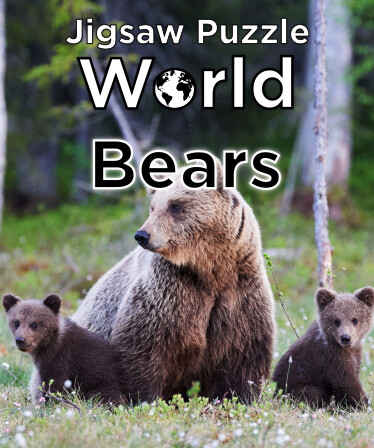 Jigsaw Puzzle World - Bears