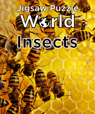 Jigsaw Puzzle World - Insects