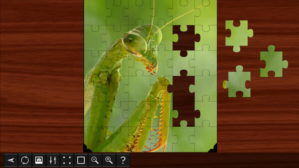 Jigsaw Puzzle World - Insects