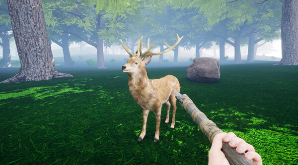 The Islandfor windows and Linux 1