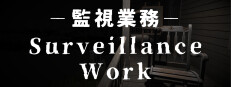 Surveillance Work -Taboo- 게임 이미지
