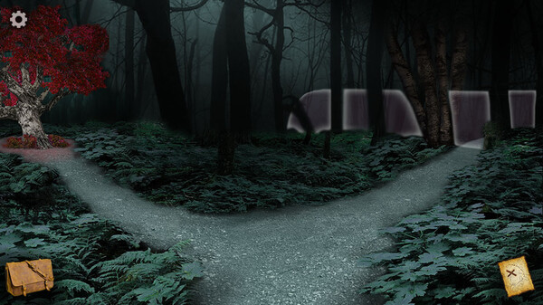 The Mystery of Blackthorn Castle 2for windows and Linux 1