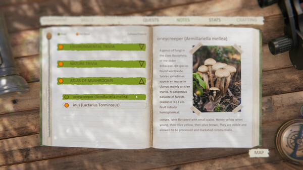 Forest Ranger Simulator - Apprenticeship game for windows Pc 1