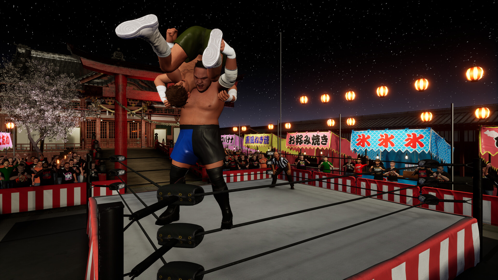 AEW: Fight Forever - World War Joe screenshot screenshot 1