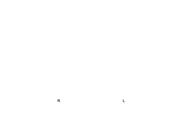 LBox_Guide_Img_03.png?t=1713289385