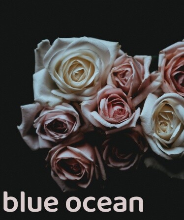 blue ocean
