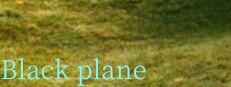 Black plane 게임 이미지