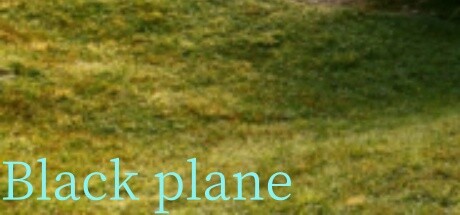 Black plane banner